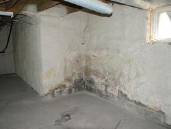 Basement - 