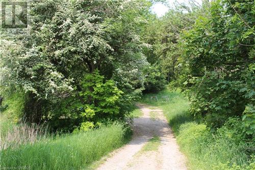 Trail access from park behind - 772 Campbell Avenue, Kincardine, ON 