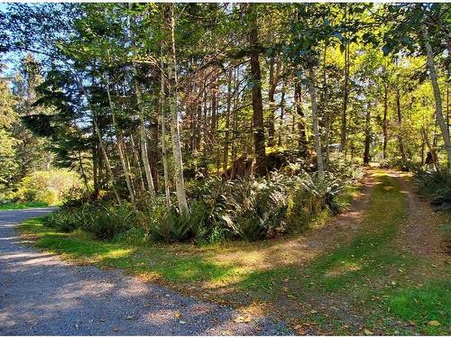 2639 Cherrier Rd, Quadra Island, BC - Outdoor