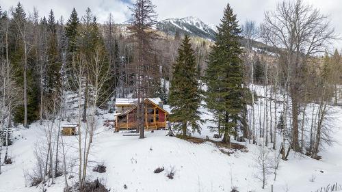 6016 Cunliffe Road, Fernie, BC - Outdoor With View