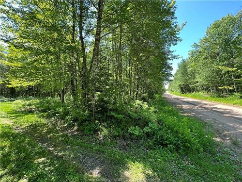 Lot 5 Buckley Rd, Harewood, NB 