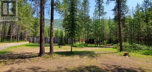 18950 North Fork Road, Grand Forks, BC - Outdoor With View