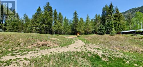 18950 North Fork Road, Grand Forks, BC - Outdoor