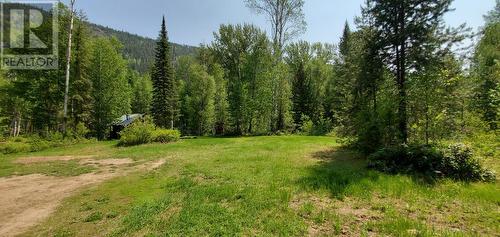 18950 North Fork Road, Grand Forks, BC - Outdoor With View