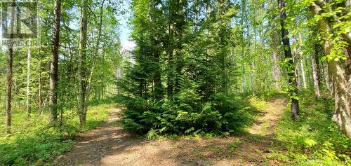 18950 North Fork Road, Grand Forks, BC - Outdoor