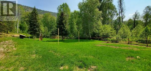 18950 North Fork Road, Grand Forks, BC - Outdoor