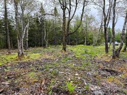 Lot 1A-81 Maple Drive  Cape George Estates, NS B0E 3B0