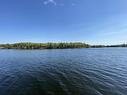 Lot 1 Big Narrows Island Lake Of The Woods, Kenora, ON 