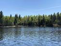 Lot 7 Big Narrows Island Lake Of The Woods, Kenora, ON 