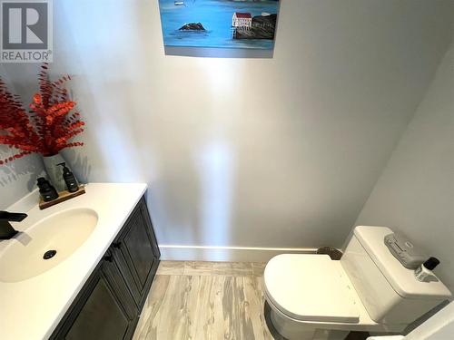 29 Ivany'S Road, Grand Falls-Windsor, NL - Indoor Photo Showing Bathroom