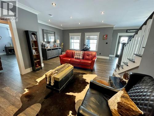 29 Ivany'S Road, Grand Falls-Windsor, NL - Indoor Photo Showing Living Room