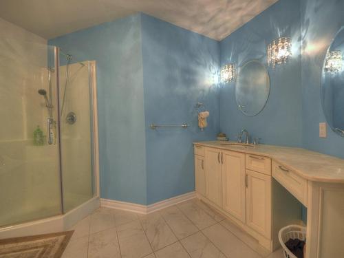 Salle de bains - 2-7005 Rue Du Chardonneret, Brossard, QC - Indoor Photo Showing Bathroom
