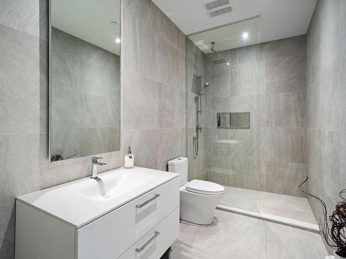 Salle de bains - 503-1300 Rue Les Érables, Laval (Laval-Sur-Le-Lac), QC - Indoor Photo Showing Bathroom