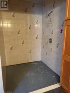 Wheelchair Accessible Shower - 