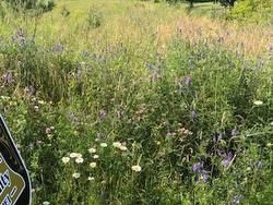 Lot 4B Bardin Street  Victoria, PE C0A 2G0