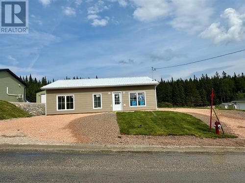 20 Albert Street, Massey Drive, NL -  Photo Showing Other Room