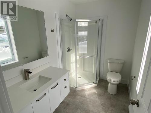 20 Albert Street, Massey Drive, NL - Indoor Photo Showing Bathroom
