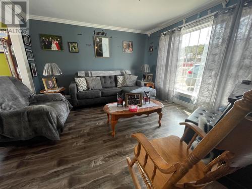 12 Synards Lane, Parkers Cove, NL - Indoor Photo Showing Living Room