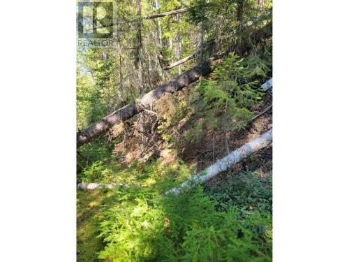 8447 31 Highway, Trout Lake, BC 