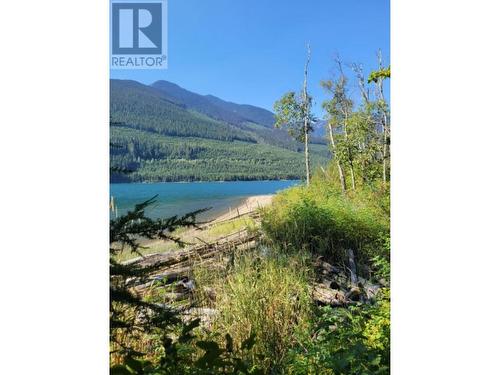 8447 31 Highway, Trout Lake, BC 