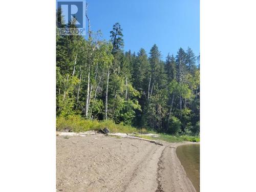 8447 31 Highway, Trout Lake, BC 