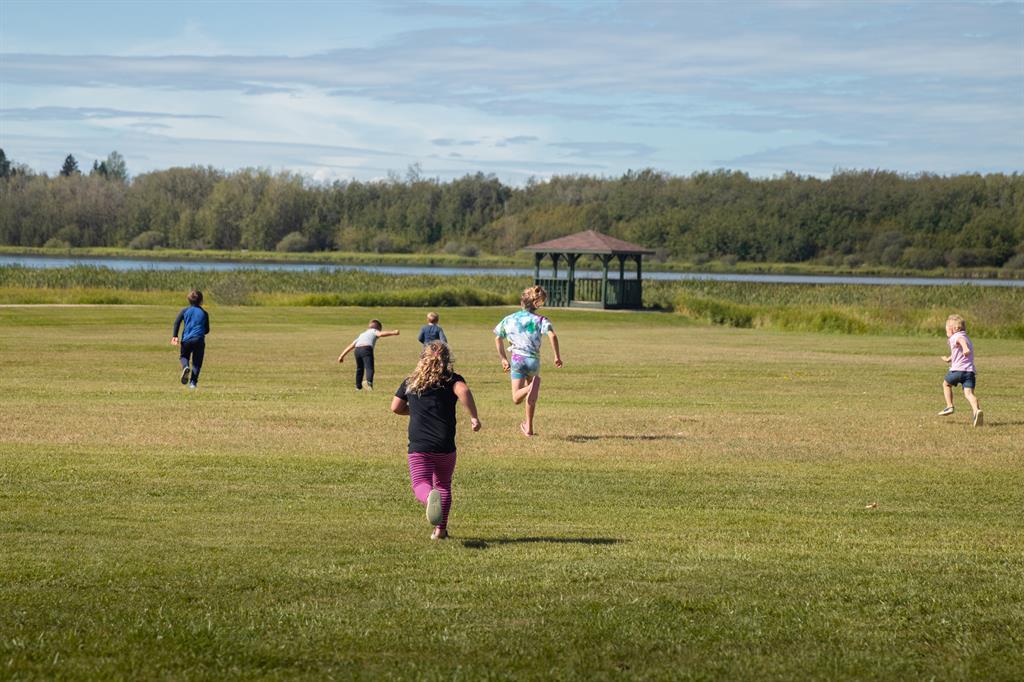 24 Napoleon Meadows Way Innisfail AB T0M 1A0 Vacant Land For Sale 