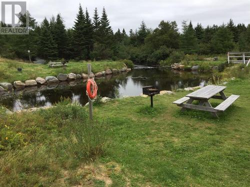 0 Old Road, Conception Harbour, Cbc, NL 