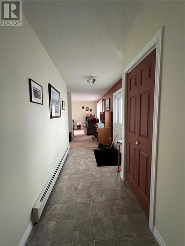 31 Maple Street, Badger, NL - Indoor Photo Showing Other Room