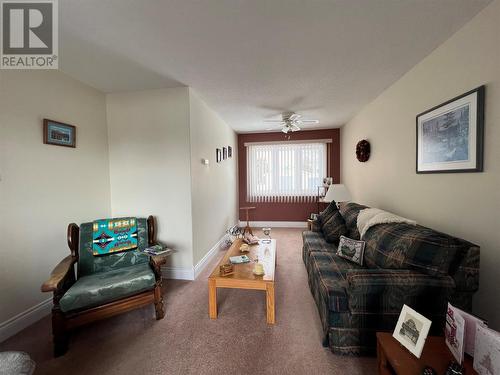 31 Maple Street, Badger, NL - Indoor Photo Showing Living Room