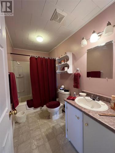 31 Maple Street, Badger, NL - Indoor Photo Showing Bathroom