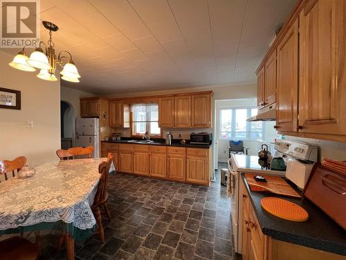 31 Maple Street, Badger, NL - Indoor Photo Showing Kitchen With Double Sink