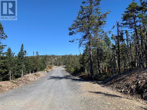 Lot 18 Halleran Trail, Brigus Junction, NL 