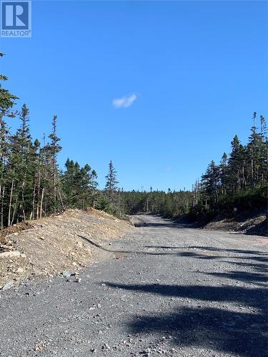 Lot 15 Halleran Trail, Brigus Junction, NL 