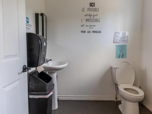 Salle d'eau - 275 Route 117, Lac-Saguay, QC - Indoor Photo Showing Bathroom