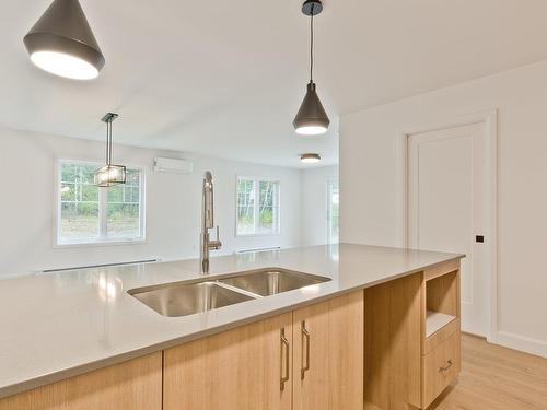 Cuisine - Z-1745 Rue Guy-Durocher, Sherbrooke (Fleurimont), QC - Indoor Photo Showing Kitchen With Double Sink