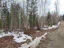 Lot C Findlay Road, Quesnel, BC 