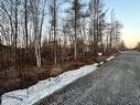 Terre/Terrain - Ch. Du Roy, Saint-Étienne-De-Bolton, QC 