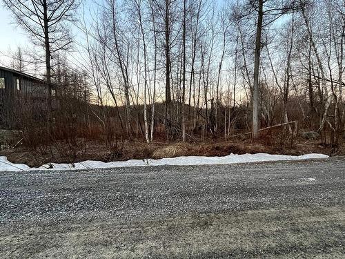 Terre/Terrain - Ch. Du Roy, Saint-Étienne-De-Bolton, QC 