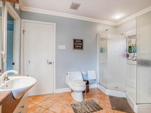 Salle de bains - 808 Rue De La Boisbouscache, Terrebonne (Lachenaie), QC - Indoor Photo Showing Bathroom