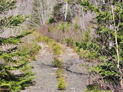Lot B-2 Medway Harbour Road, Mill Village, NS 