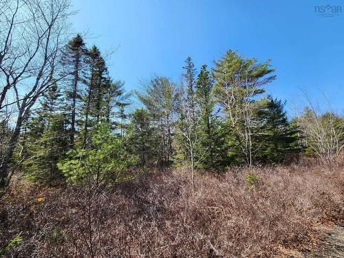 Lot B-2 Medway Harbour Road, Mill Village, NS 