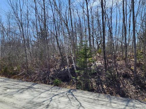 Lot 15 Medway Harbour Road, Mill Village, NS 
