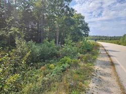 Medway Harbour Road  Mill Village, NS B0J 2H0