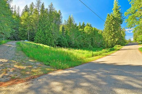 2403 Caughlin Road, Fruitvale, BC - Outdoor With View