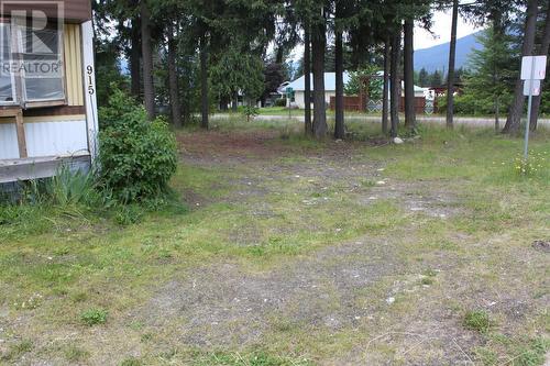 915 23 Highway, Nakusp, BC - Outdoor