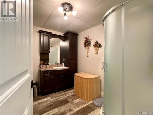 46 Gabourie Road, Edmundston, NB - Indoor Photo Showing Bathroom