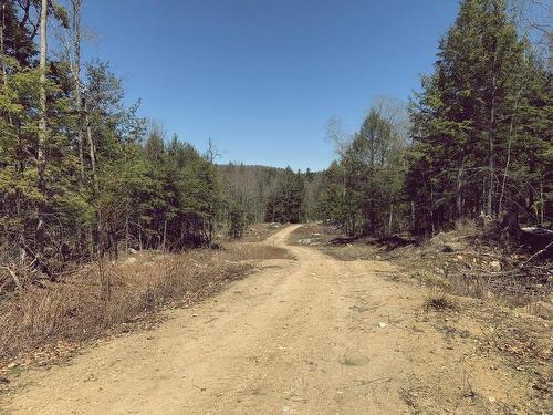 Overall view - 120 Ch. Du Chêne-Rouge, Val-Des-Monts, QC 