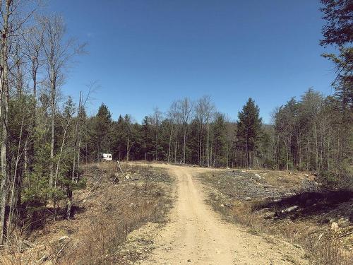 Overall view - 120 Ch. Du Chêne-Rouge, Val-Des-Monts, QC 