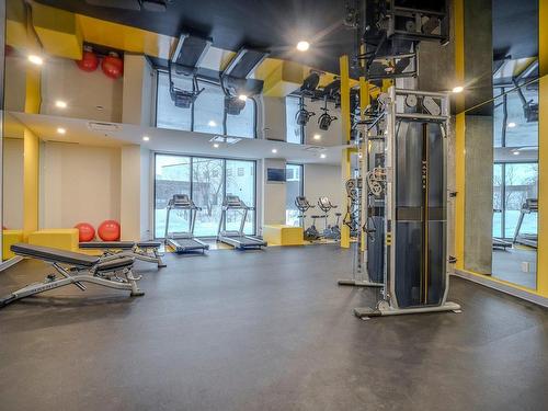Salle d'exercice - 1349-5620 Rue J.-B.-Michaud, Lévis (Desjardins), QC - Indoor Photo Showing Gym Room