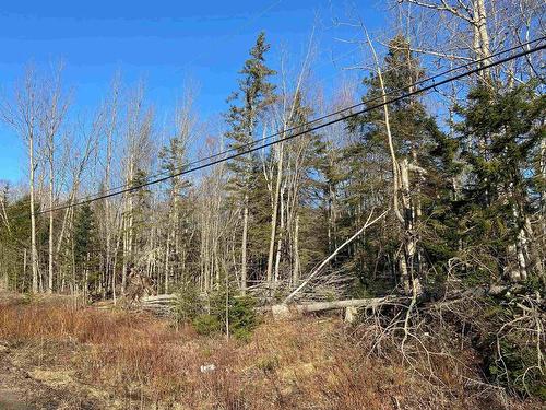 Lot 28C Greg Road, Greenfield, NS 